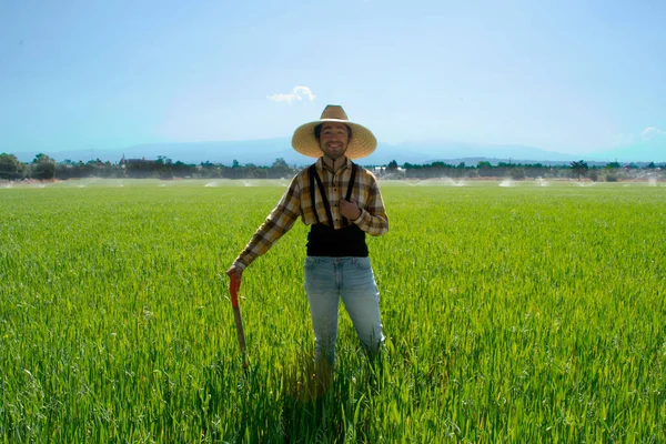 Мексиканский фермер в зеленом поле — стоковое фото