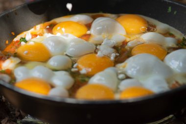 Shakshouka, domates, harissa, zeytin yağı, soğan, sarımsak ve baharat soslu geleneksel haşlanmış yumurta tabağı. 