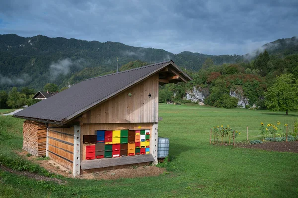 Cultura Apícola Moderna Una Colorida Casa Eslovena Abejas — Foto de Stock