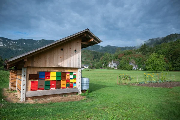 Cultura Moderna Apicultura Uma Casa Abelhas Eslovena Colorida — Fotografia de Stock