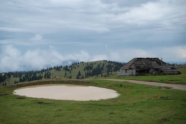 베리카 플라미니나 Velika Planina 흙탕물 웅덩이로 슬로베니아 고지대 카르니올라 지역의 — 스톡 사진