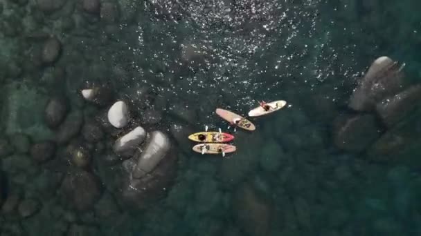 湖でボードの冒険をパドル 夏のウォータースポーツ活動 高品質4K映像 — ストック動画