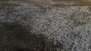 Çölde doğal volkanik kaplıcalar. Yüksek kalite 4k görüntü