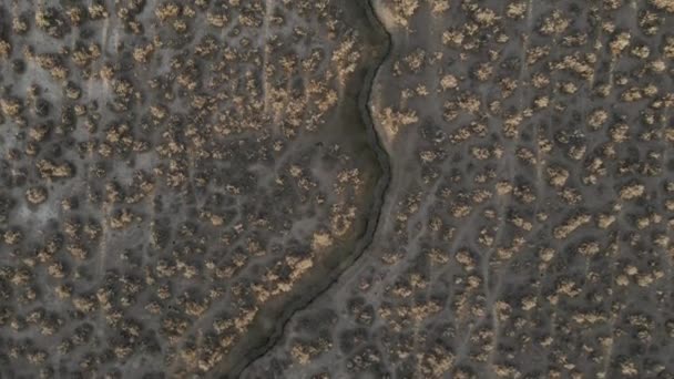 Sorgenti Termali Vulcaniche Naturali Sul Deserto Filmati Alta Qualità — Video Stock