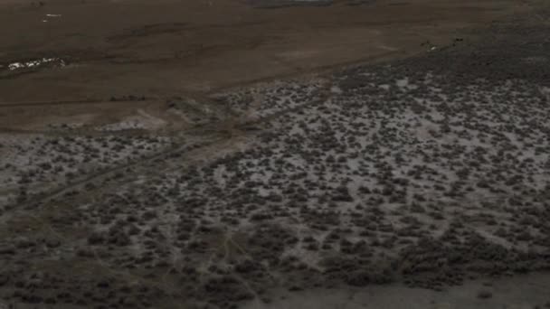 Természetes Vulkanikus Hőforrások Sivatagban Kiváló Minőségű Felvételek — Stock videók