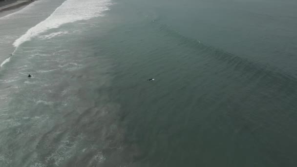 Surfer Czeka Dobry Moment Fali Surfing Wysokiej Jakości Materiał — Wideo stockowe