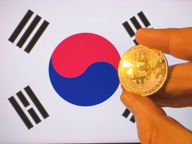 Kore bayrağının üzerinde altın bir Bitcoin taşıyor. Kore kripto para birimi ve engelleme teknolojisi yatırımcısı. Fotokopi alanı ile finansal geçmiş. Merkezi olmayan sanal para kavramı.