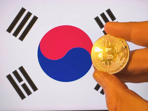 Kore bayrağının üzerinde altın bir Bitcoin taşıyor. Kore kripto para birimi ve engelleme teknolojisi yatırımcısı. Fotokopi alanı ile finansal geçmiş. Merkezi olmayan sanal para kavramı.