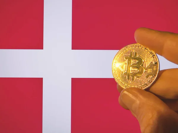 Trzyma Fizycznie Złotą Bitcoina Nad Duńską Flagą Dania Jako Inwestor — Zdjęcie stockowe