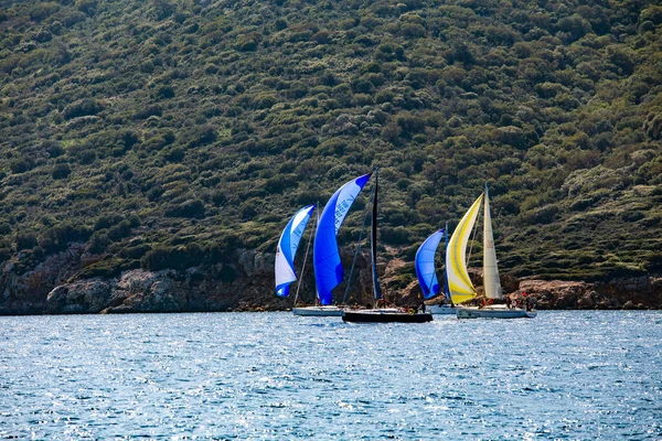 Bodrum Mugla Turkiet 2022 Segelbåtar Med Öppna Färgglada Segel Racing — Stockfoto
