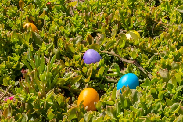 Three Easter Eggs hidden on floral green meadow background. Happy Easter Celebration Ornament concept. Colorful festive banner. Copy space. Beautiful postcard decoration in nature at spring.