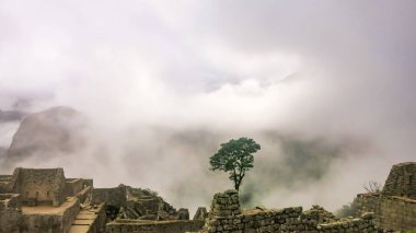 Sabahın erken saatlerinde Machu Piccu 'daki Taş Tapınak. Yüksek açı. Fotokopi alanı olan doğal ve tarihsel arka plan. Machu Picchu, Peru 'daki And Dağları' nda kurulmuş bir İnka kalesidir.