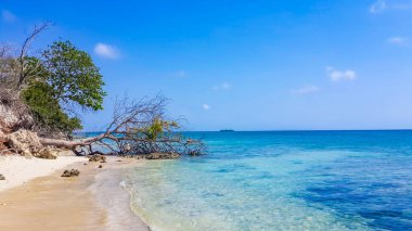 Maldives paradise scenery. Tropical landscape, seascape with large background with copy space. Amazing sea and lagoon beach, tropical nature. Exotic tourism destination banner, summer vacation