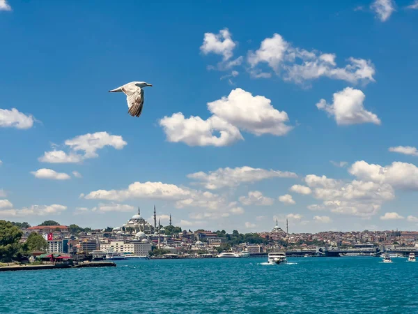 Seagull flying on blue cloudy sky in front of Galata bridge, Yeni Cami (New Mosque) and Suleymaniye Mosque in a row. The entrance of the Golden Horn in Istanbul Turkey, on a sunny day. Beautiful travel destination postcard, poster banner