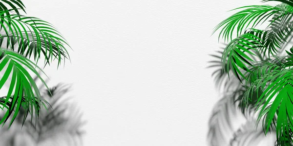 Green Palm tree leaf shadow effect on white background. Blank copy space. Vector flat lay design overlays 3D rendered tropical leaves. Applicable for mock-up, product display template, advertisement