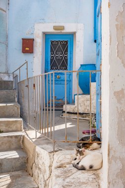 Cute stray cats sleeping in front of a typical Greek home entrance. Beautiful small alley in small town. Holiday destination Greece. Greek culture and animal background, copy space.