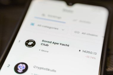 Sıkıcı Maymun Yat Kulübü NFT (BAYC), bireysel olarak bir çevrimiçi sosyal kulübün biletleri gibi davranan 10.000 maymun avatarından oluşan bir derlemedir. Akıllı telefon ekranında karşılanabilir olmayan jeton