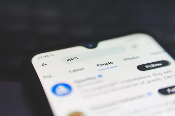 Búsqueda Nft Twitter Token Fungible Una Unidad Intercambiable Datos Almacenados — Foto de Stock