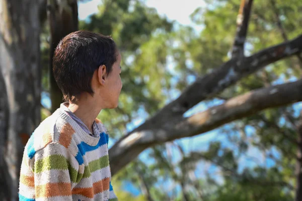 Zavallı çocuk ağaçta oturuyor, köy çocuğu.
