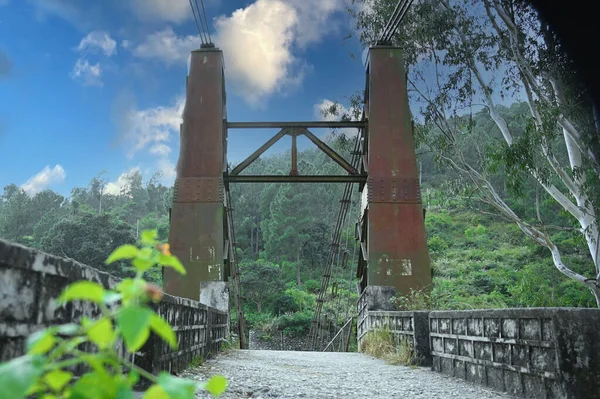 Nehir köprüsü manzarası altın gökyüzü, yeşillik