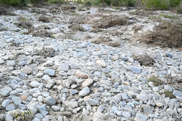 Nehrin kıyısındaki taşlar