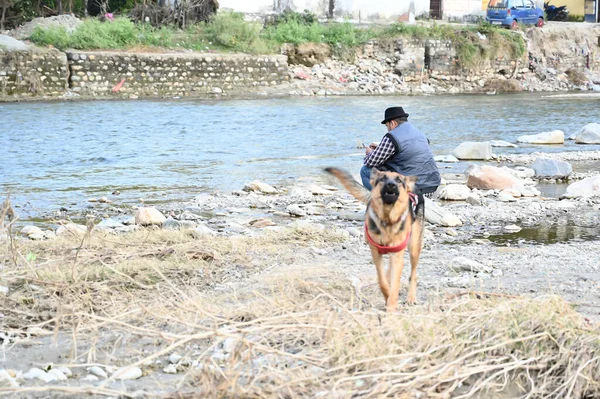 Nehirde balık tutan bir adam. Köpeğimizle