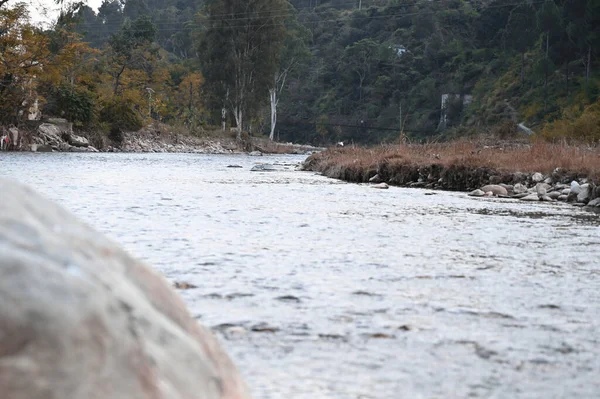 Nehir kenarı manzaralı taşlar, ağaçlar
