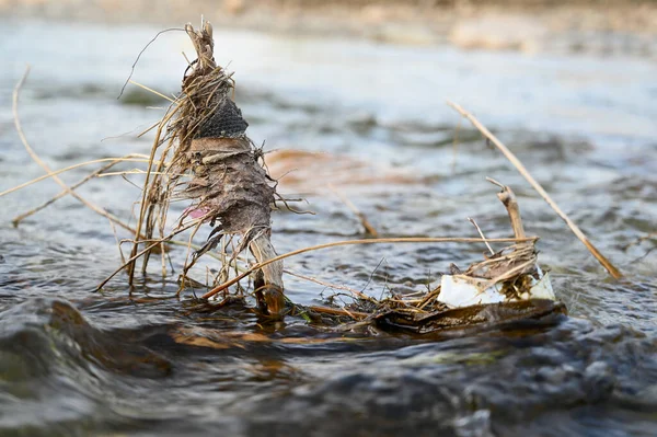 Nehirde, Hindistan 'da çöp sıkışmış. .