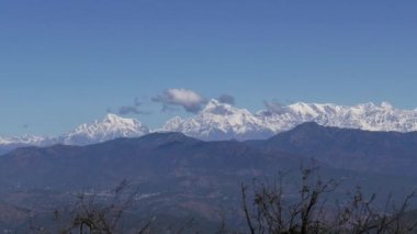 Himalaya 'nın videosu, ağaç videosu. 4k video .