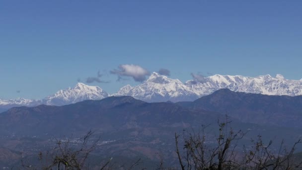 Schnee Erfüllte Himalaya Video Baum Video Video — Stockvideo