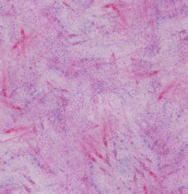 Soyut süslemeli suluboya arkaplan. Tasarım için, kumaş ya da kağıt üzerine baskı. Mor, pembe renkler.