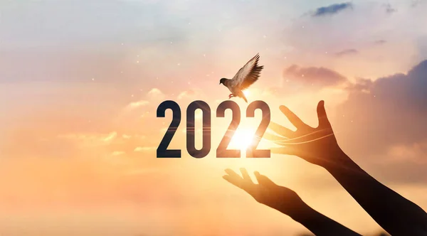 Hands Touching New Year 2022 Silhouette Flying Free Bird Enjoying — Stock Photo, Image