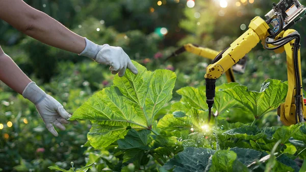 Agriculture Futuristic Pollinate Vegetables Robot Automation Detection Spray Chemical Leaf Stok Resim