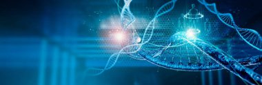 DNA molekül yapısı. Çift sarmallı DNA. İnsan genom hücresindeki kromozom DNA genetik biyoteknolojisi üzerine tıbbi bilim araştırması. Bilim laboratuarı deneyleri, analiz ve genetik mühendisliği çalışmaları.