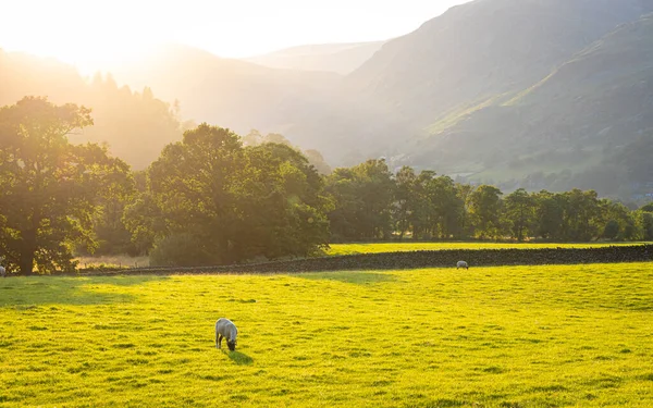 Zonsondergang Boven Ullswater Meer Lake District Een Regio Nationaal Park — Stockfoto