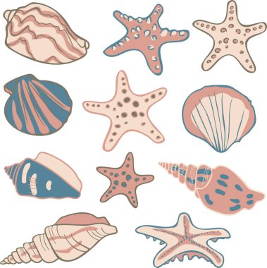 Deniz kabukları ve deniz yıldızlarıyla vektör koleksiyonu ayarlandı. Deniz canlılarıyla dekoratif çizimler..