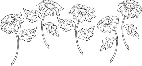 デイジーの花のシルエットとベクトルコレクション 着色本用の花のデザイン — ストックベクタ