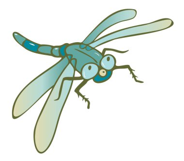 Çizgi film tarzında yusufçuğun vektör çizimi. Beyaz arkaplanda izole.