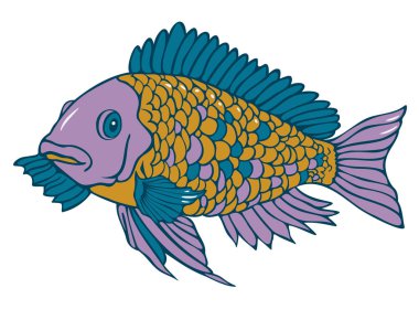 Vector illustration of a fish. Colored and depicted by a line.