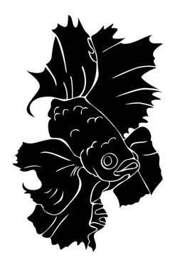 Vector illustration with silhouette of decorative fish. Isolated fish.
