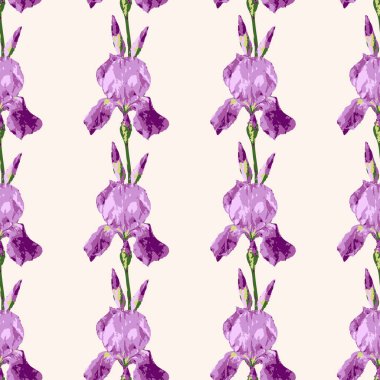 Süsen çiçekli, kusursuz bir desen. Güzel zambak çiçekli tasarım.