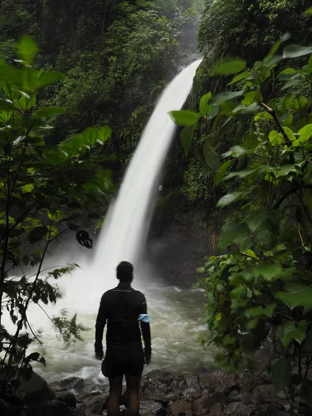 Junger Mann Wandert Dschungel Von Costa Rica — Stockfoto