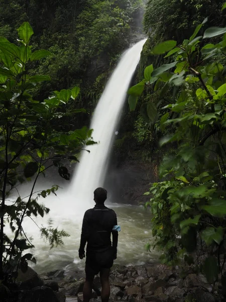 Jeune Homme Randonnée Dans Jungle Costa Rica — Photo