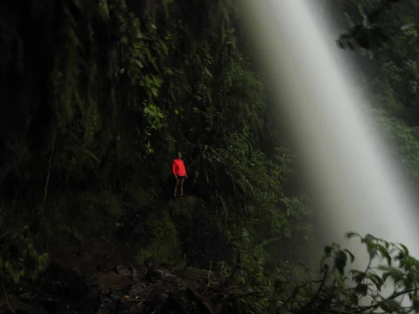 Jeune Femme Randonnée Dans Jungle Costa Rica — Photo