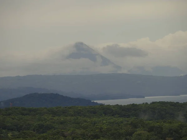 Selva Selvagem Costa Rica — Fotografia de Stock