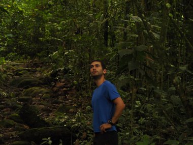 Kosta Rika 'da ormanda yürüyüş yapan genç adam.