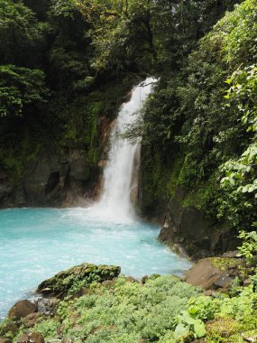 Rio Celeste Şelalesi, Kosta Rika