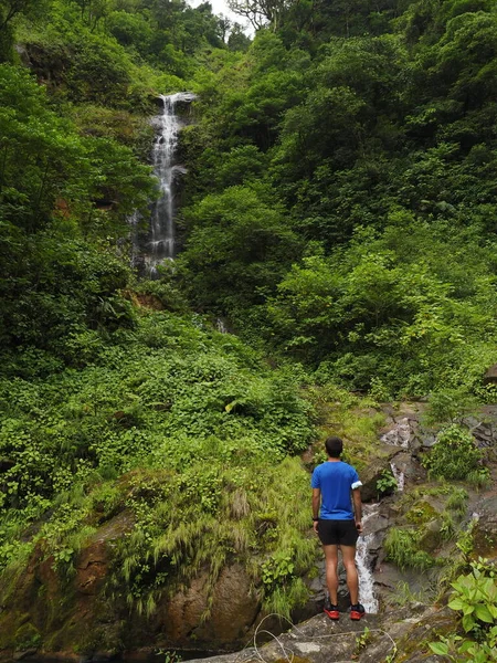 Junger Mann Wandert Dschungel Von Costa Rica — Stockfoto