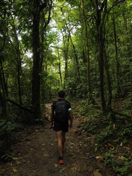 Young Man Hiking Rio Celeste — Stock Photo, Image