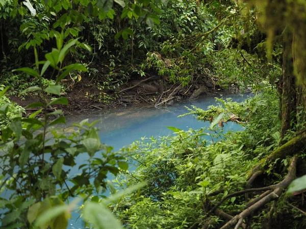 Άποψη Του River Rio Celeste Στην Κόστα Ρίκα — Φωτογραφία Αρχείου